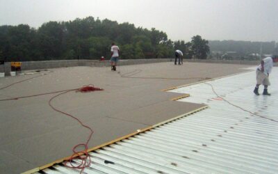 5 Signs Your Commercial Roof Needs Immediate Attention in Albany, NY